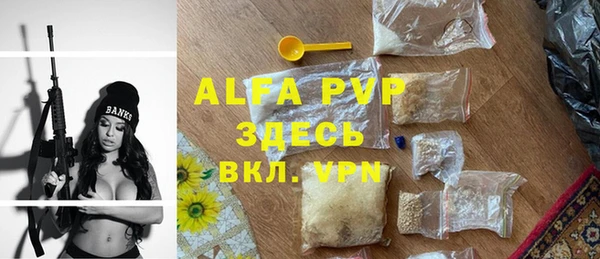 ПСИЛОЦИБИНОВЫЕ ГРИБЫ Белокуриха