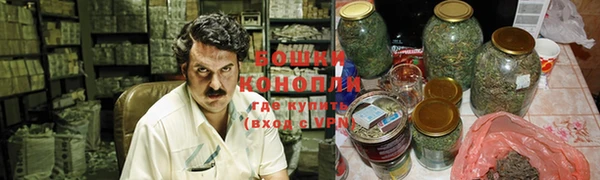 ПСИЛОЦИБИНОВЫЕ ГРИБЫ Белокуриха