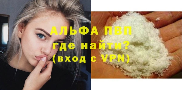 ПСИЛОЦИБИНОВЫЕ ГРИБЫ Белокуриха