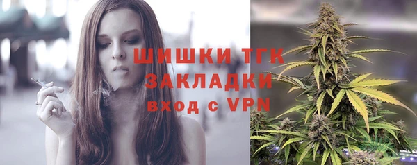 ПСИЛОЦИБИНОВЫЕ ГРИБЫ Белокуриха