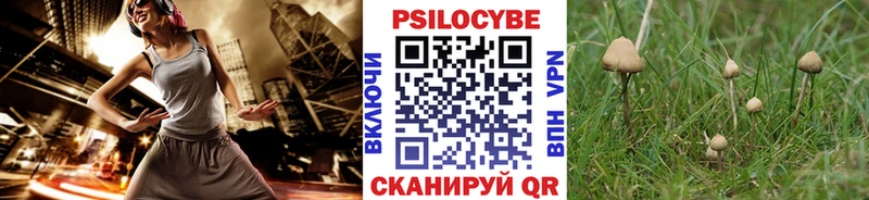 Галлюциногенные грибы Magic Shrooms  как найти   Маркс 