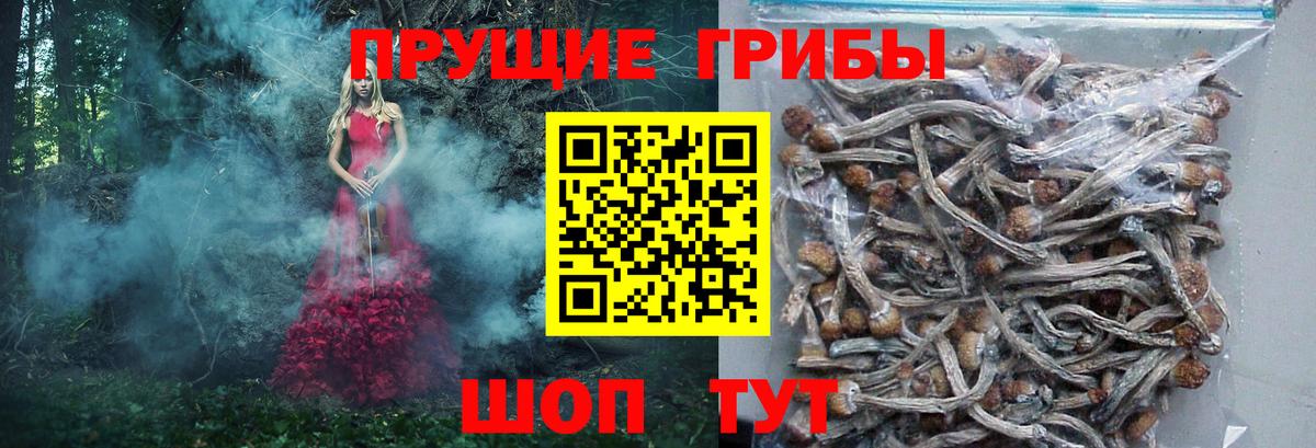 Галлюциногенные грибы GOLDEN TEACHER  Вход с VPN  дарнет шоп  Псилоцибиновые грибы Psilocybine cubensis  Маркс 